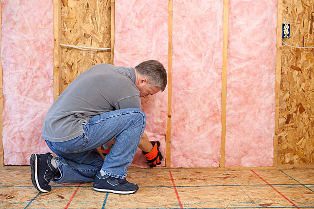 Best Insulation Maintenance and Repair in Castle Dale, UT